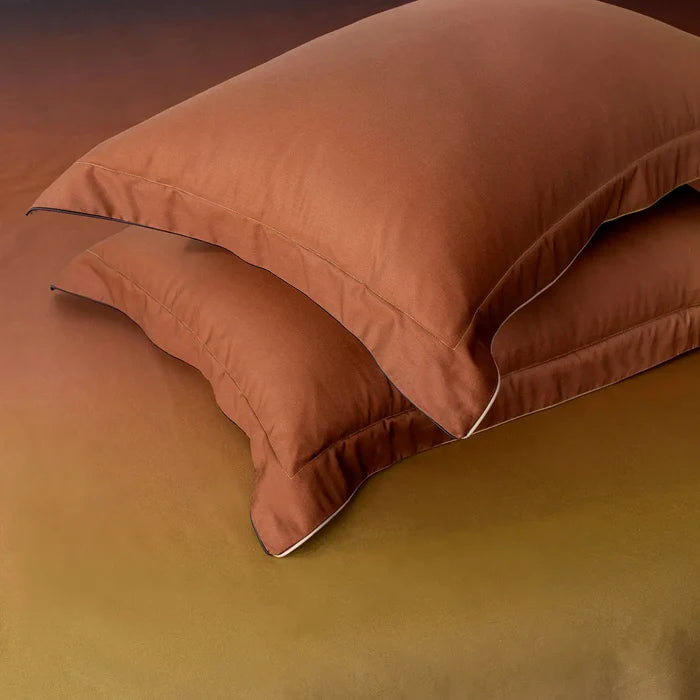 Standard / Sleeping Sun