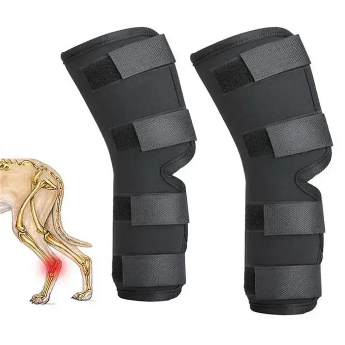 1Pair Pet Knee Support Braces – Hock Joint Wraps For Dog Leg Injury Recovery & Mobility Protection