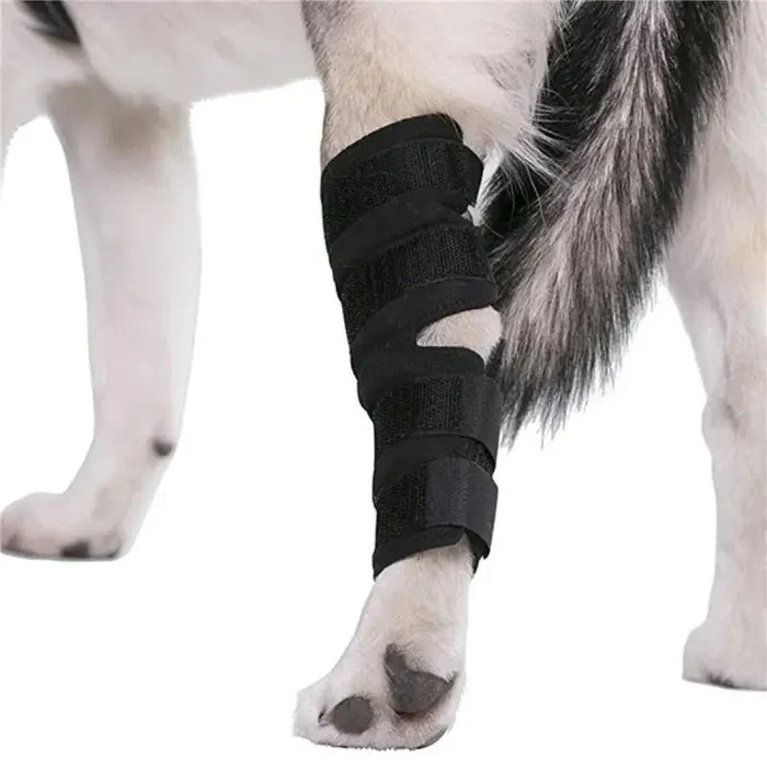 1Pair Pet Knee Support Braces – Hock Joint Wraps For Dog Leg Injury Recovery & Mobility Protection
