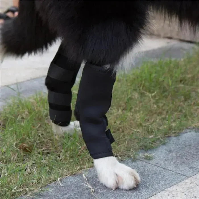 1Pair Pet Knee Support Braces – Hock Joint Wraps For Dog Leg Injury Recovery & Mobility Protection