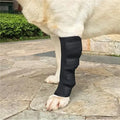 1Pair Pet Knee Support Braces – Hock Joint Wraps For Dog Leg Injury Recovery & Mobility Protection