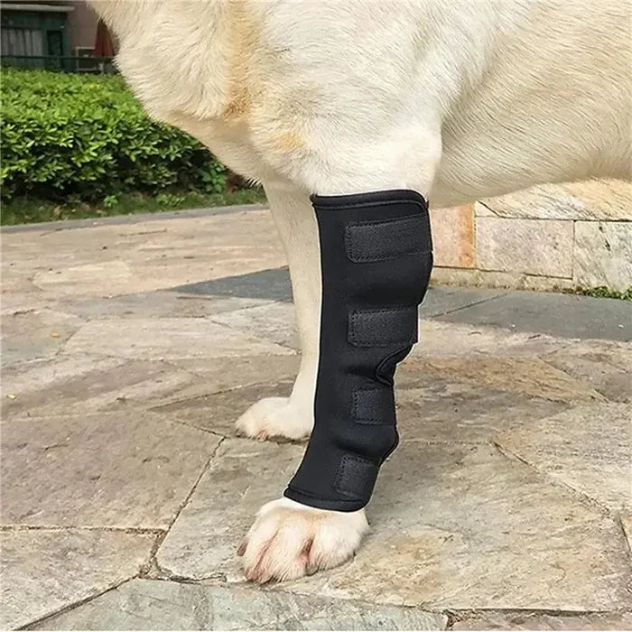 1Pair Pet Knee Support Braces – Hock Joint Wraps For Dog Leg Injury Recovery & Mobility Protection