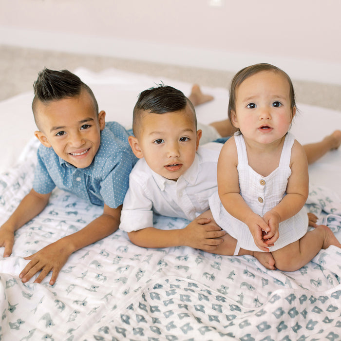 aden + anais cotton muslin blanket  now + zen