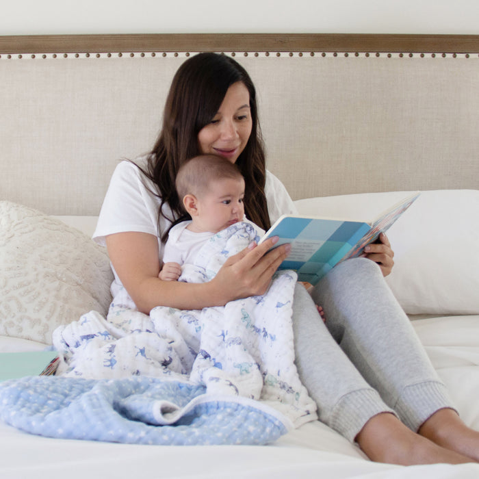 aden + anais cotton muslin blanket rising star