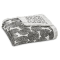 aden + anais silky soft blanket in motion wedges