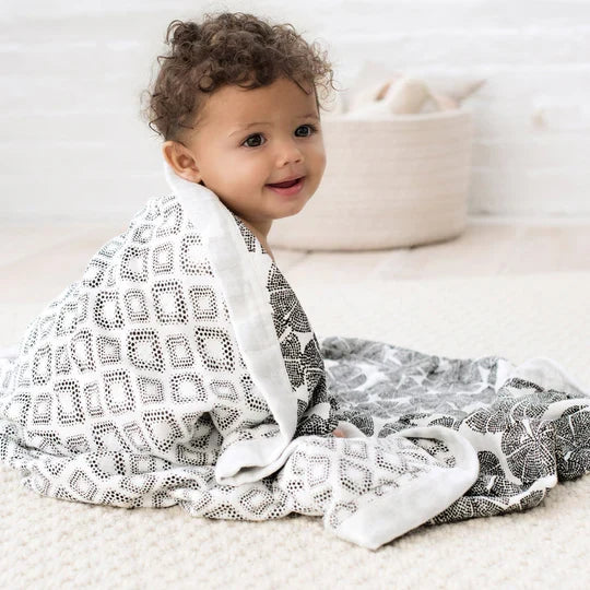 aden + anais silky soft blanket in motion wedges