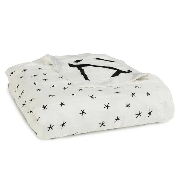 aden + anais silky soft blanket moonlight