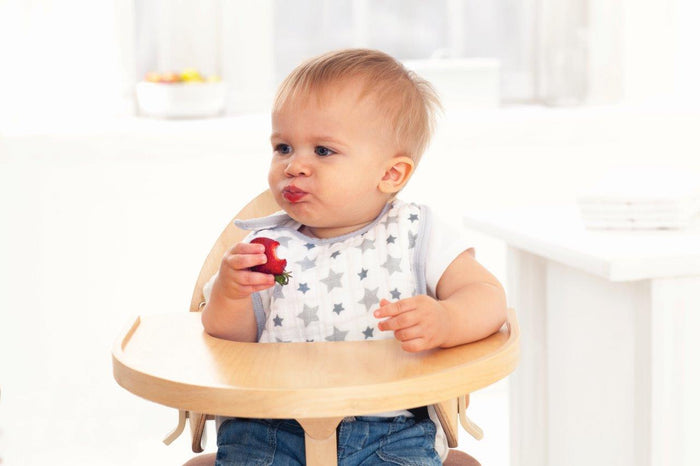 aden + anais twinkle 3 pack snap bib