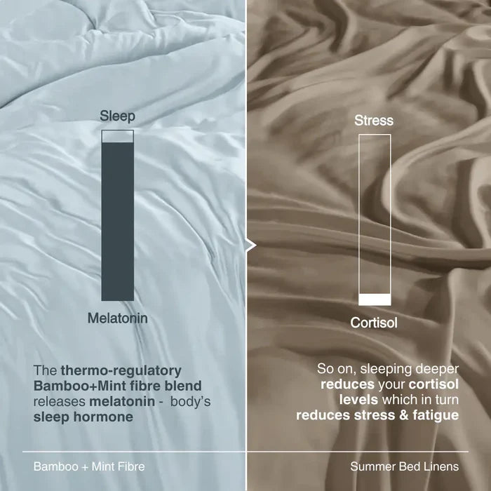 Bamboo Mint Bedding Collection