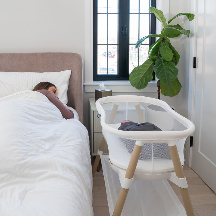 A woman sleeps in bed beside the HALO BassiNest® Essential Sleeper with mesh walls holding her baby. The room features light walls, a tall green plant, a black-framed window, and a box of tissues on a small white table.