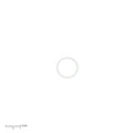 Bedford O-Ring (738-224-B)