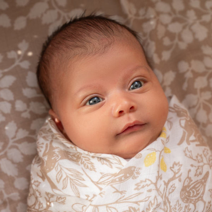 A newborn with light blue eyes is wrapped in an aden + anais boutique silky soft swaddle blanket, made from bamboo-infused viscose. The background displays floral beige breathable swaddles. The baby gazes upward, appearing calm.