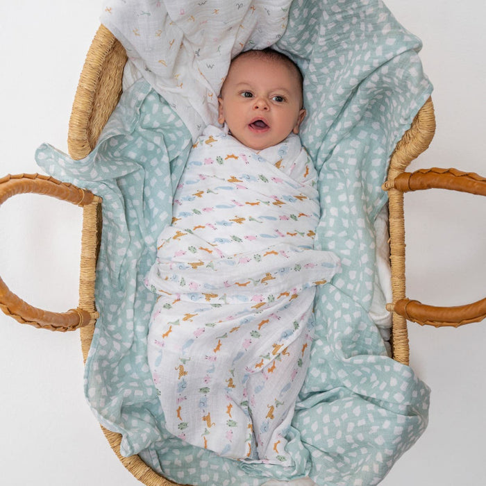 A baby with short dark hair, gazing upwards with an open mouth, is wrapped in a breathable aden + anais essentials cotton muslin swaddle blanket inside a woven basket lined with light blue and white polka dot cloth.