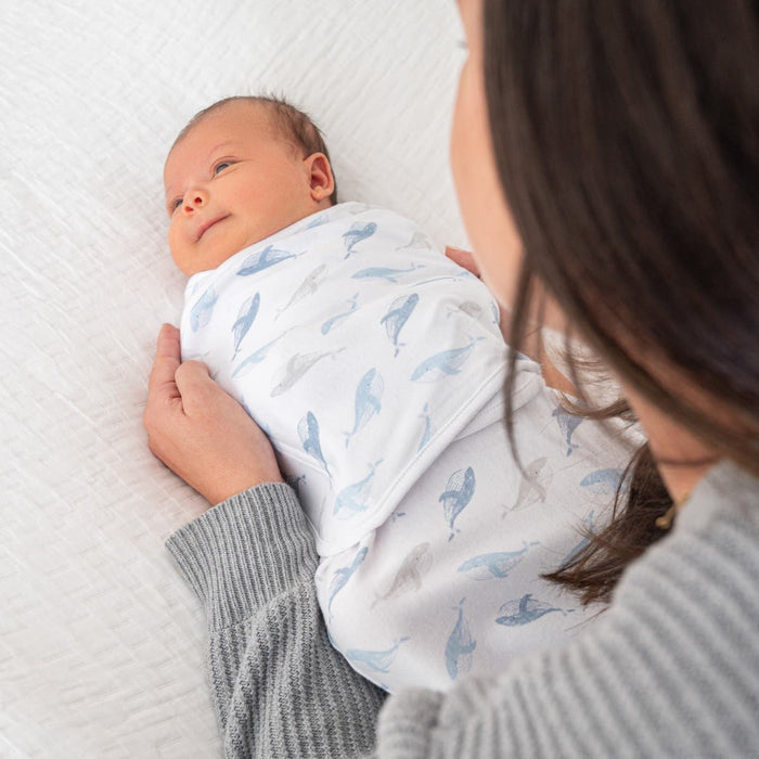 A person gently cradles a swaddled baby lying on a white surface. Securely wrapped in an aden + anais essentials easy swaddle wrap with adjustable fasteners, the baby, adorned in a whale pattern, gazes upward with a calm expression, preventing startle reflex for contentment.