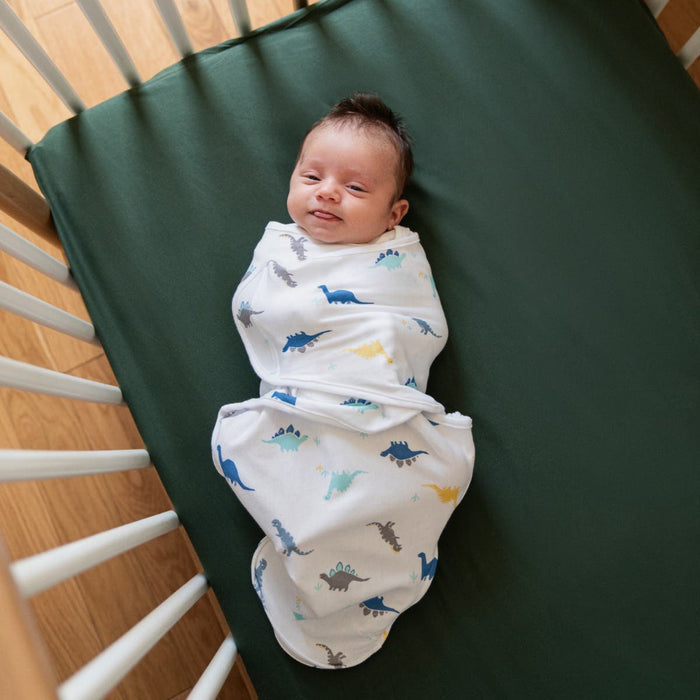 ewsk30005_aden-wrap-swaddle-3pk-dino-rama_17