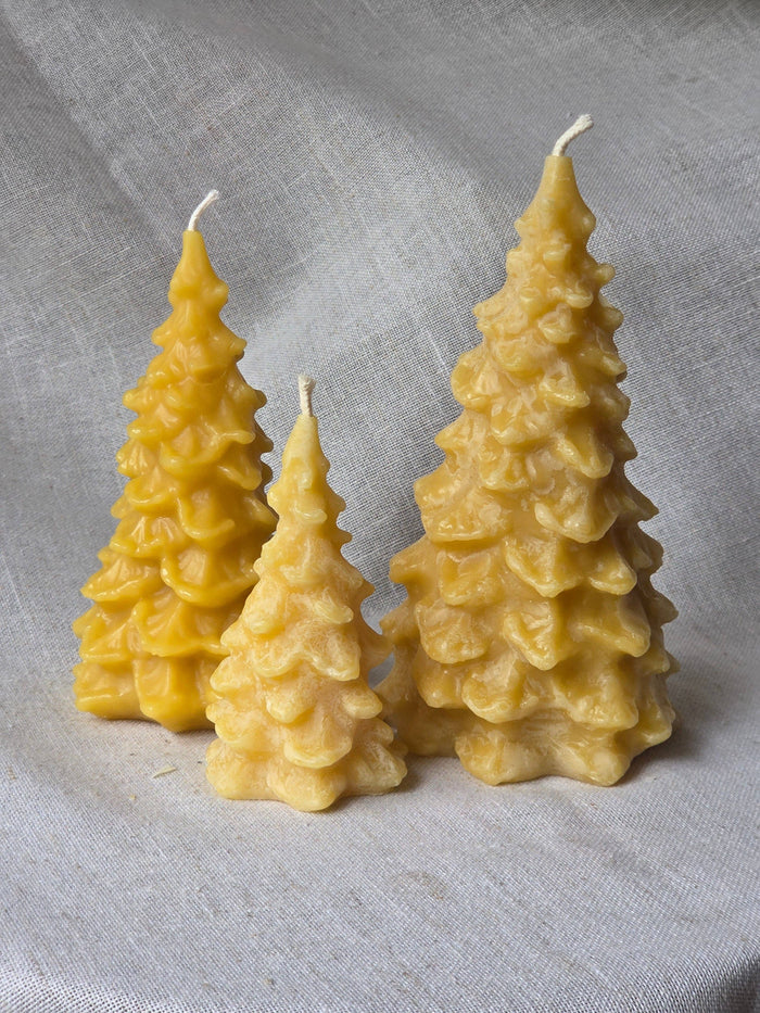 Farm and Hive - Fir Trees - 3 Sizes | Beeswax Candles