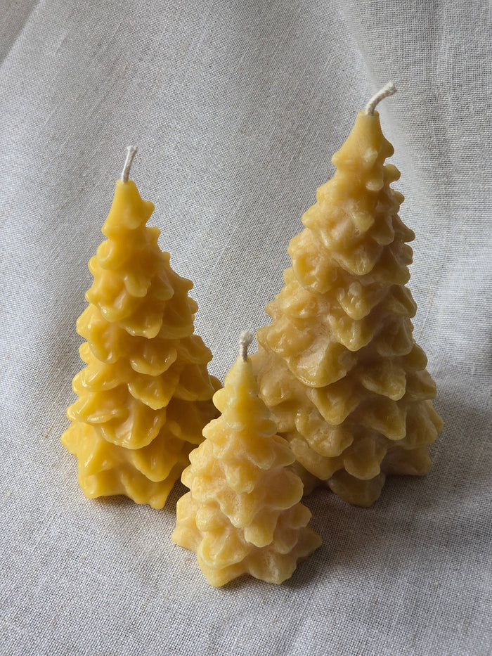 Farm and Hive - Fir Trees - 3 Sizes | Beeswax Candles
