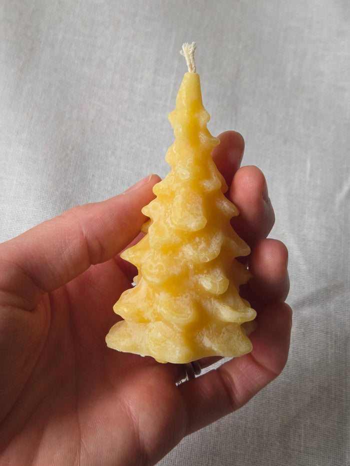 Farm and Hive - Fir Trees - 3 Sizes | Beeswax Candles