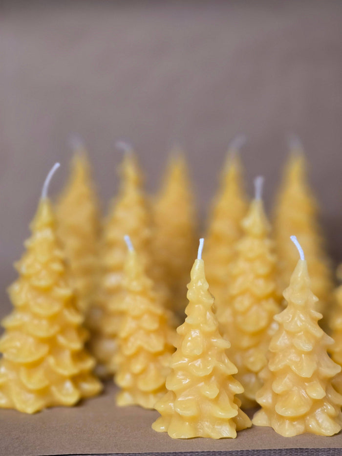 Farm and Hive - Fir Trees - 3 Sizes | Beeswax Candles