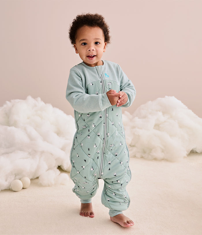 Footed Sleep Bag Long Sleeve 2.5 TOG Organic Cotton/Merino Wool Green Lamb's Best Friend