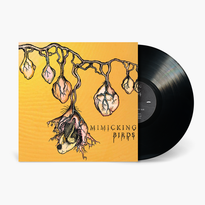 Mimicking Birds - Mimicking Birds Vinyl & Merch | Fat Possum Records