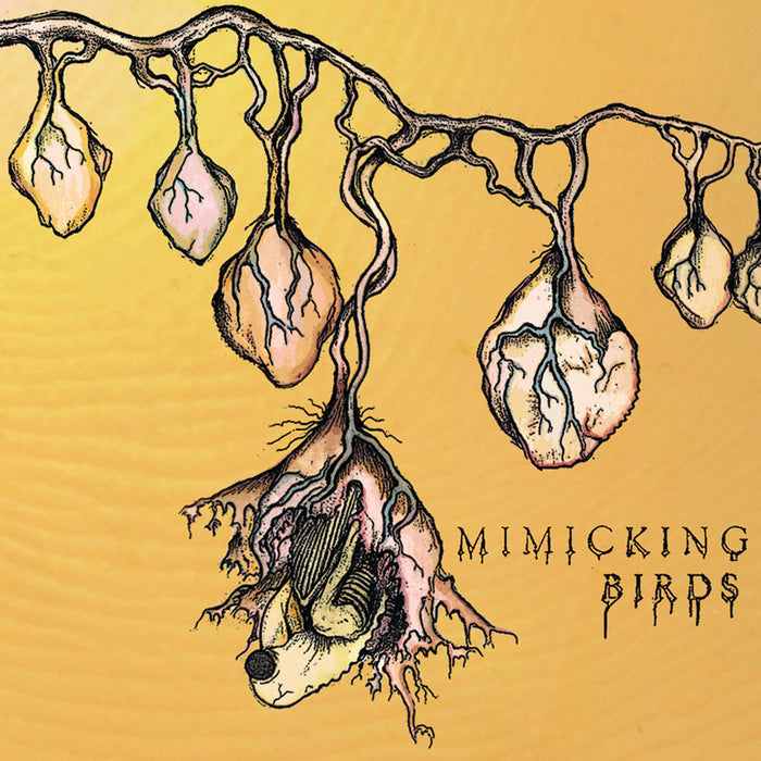 Fat Possum - Mimicking Birds Vinyl & Merch | Fat Possum Records