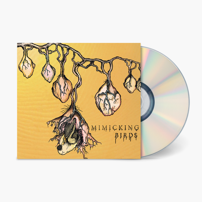 Fat Possum - Mimicking Birds Vinyl & Merch | Fat Possum Records