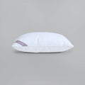 Mushy Coffee Cushion