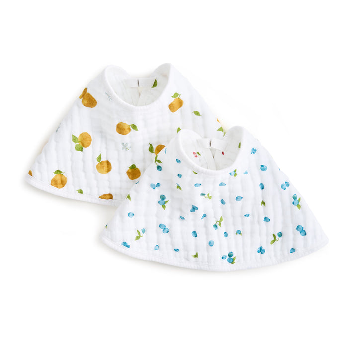 ABBO20010_adenandanais_organic_burpybib_2pack_freshfruit_3.jpg