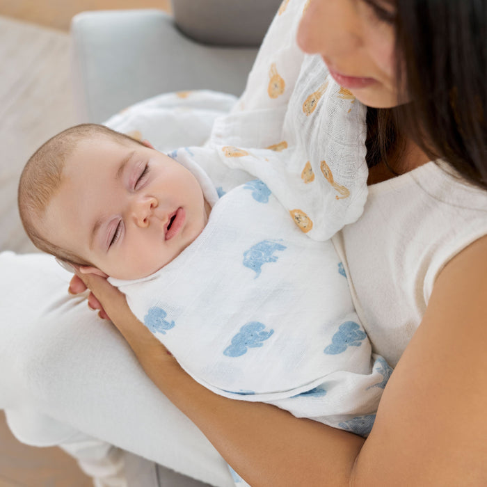 A woman sits on a couch cradling a sleeping baby wrapped in an aden + anais Organic Baby Essentials Bundle blanket, featuring blue elephant designs. Surrounded by organic fabrics, the scene is calm and nurturing.