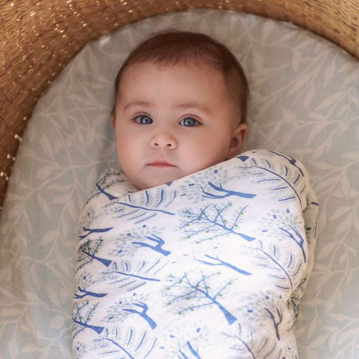 An adorable baby with wide eyes is swaddled in an aden + anais organic cotton muslin blanket with blue tree patterns. Nestled in a textured bassinet with blue leafy bedding, this scene highlights the versatility of premium aden + anais swaddles.