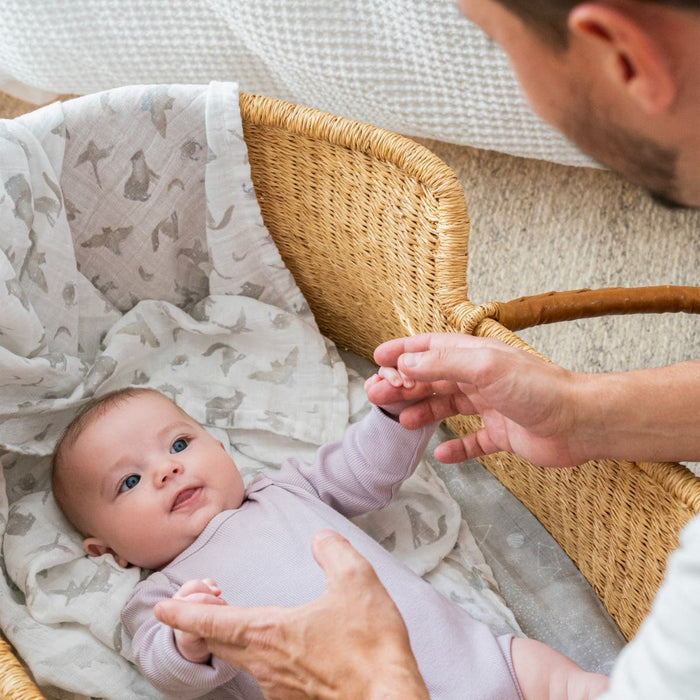 A baby in a light purple onesie rests in a wicker bassinet with a patterned cloth, wrapped in an aden + anais organic cotton muslin swaddle blanket. An adult gently holds the babys hand, creating a cozy and intimate setting that highlights sustainable products.