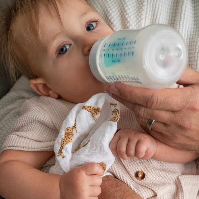 A baby with blue eyes is sipping from a bottle held by an adult in a light sweater, cuddled up with an aden + anais organic cotton muslin swaddle blanket decorated with brown cheetah print, highlighting the softness and style of GOTS-certified materials.