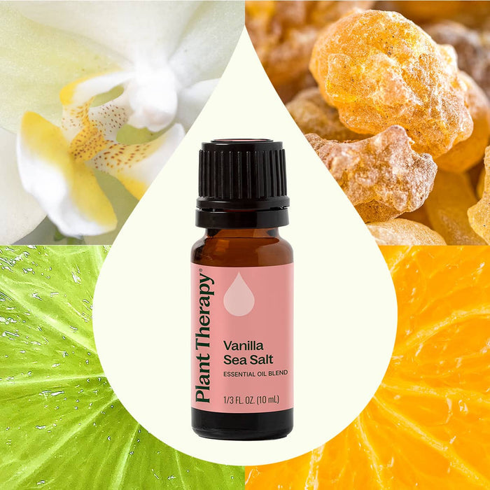 Plant Therapy - Vanilla Sea Salt Essential Oil Blend 10 mL