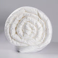 Real Silk Ac /All Season Quilt - 200 GSM