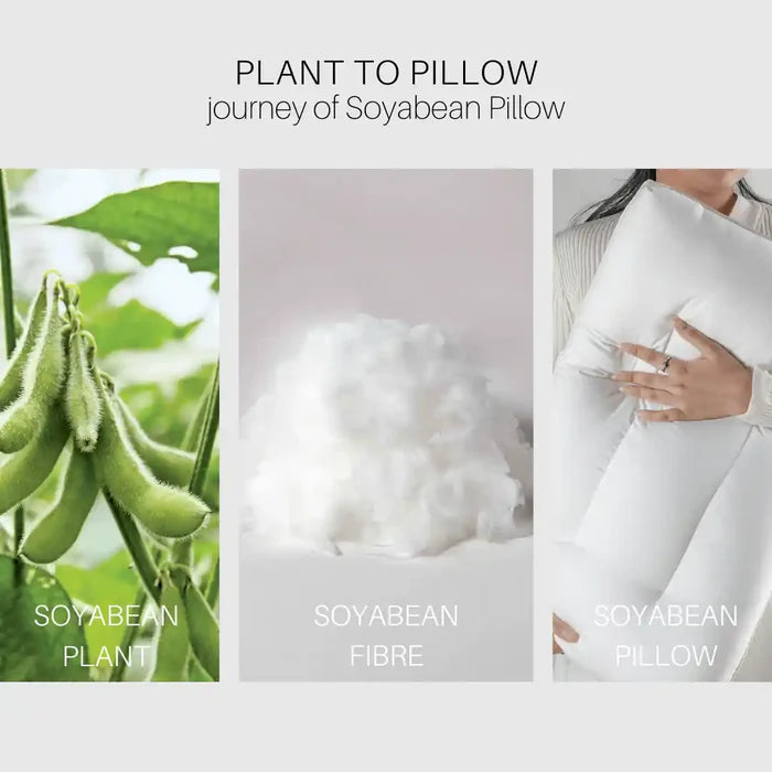 Soyabean Pillow