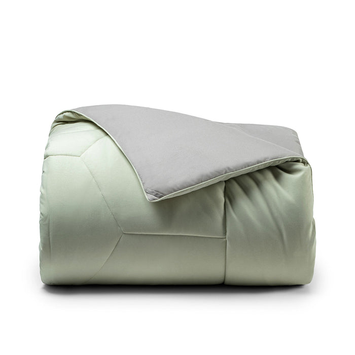 Mint/Pashmina