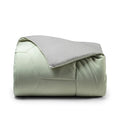 Mint/Pashmina